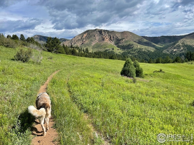 18 Pine St, Jamestown, CO 80455 - view of mountain backdrop featuring rural landscape
