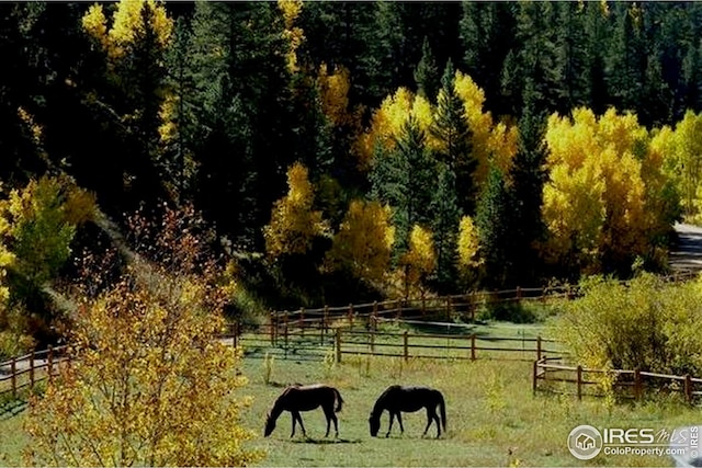 7127 Coal Creek Canyon Hwy, Nederland, CO 80466 - view of home's community with a view of rural / pastoral area and a forest view