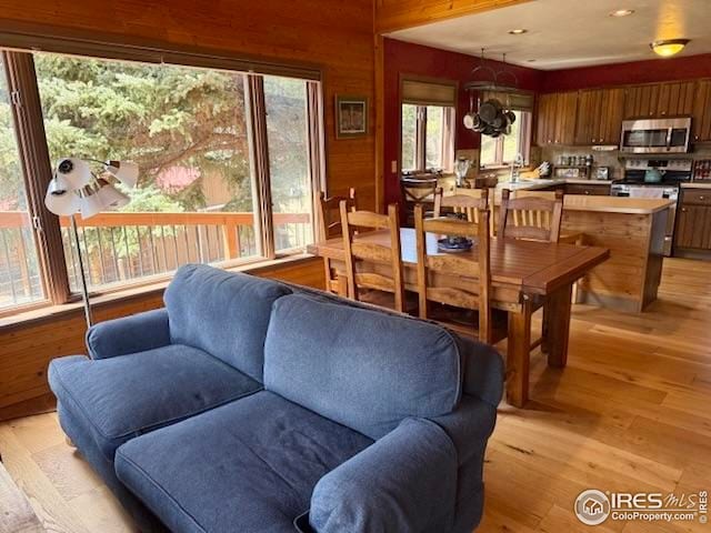 7127 Coal Creek Canyon Hwy, Nederland, CO 80466 - living room featuring light wood finished floors and wood walls