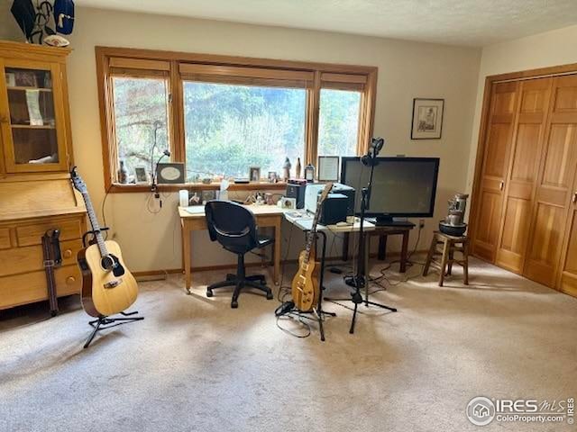7127 Coal Creek Canyon Hwy, Nederland, CO 80466 - office area with carpet floors and baseboards