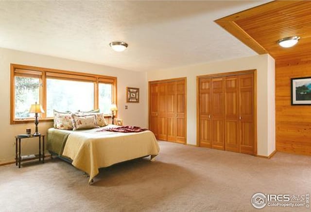 7127 Coal Creek Canyon Hwy, Nederland, CO 80466 - carpeted bedroom with multiple closets and wood walls