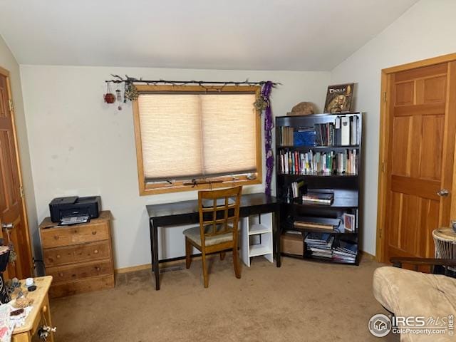 7127 Coal Creek Canyon Hwy, Nederland, CO 80466 - carpeted office space featuring lofted ceiling