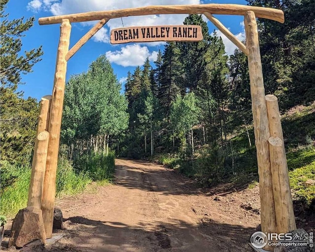 7127 Coal Creek Canyon Hwy, Nederland, CO 80466 - view of dirt / gravel road with a wooded view
