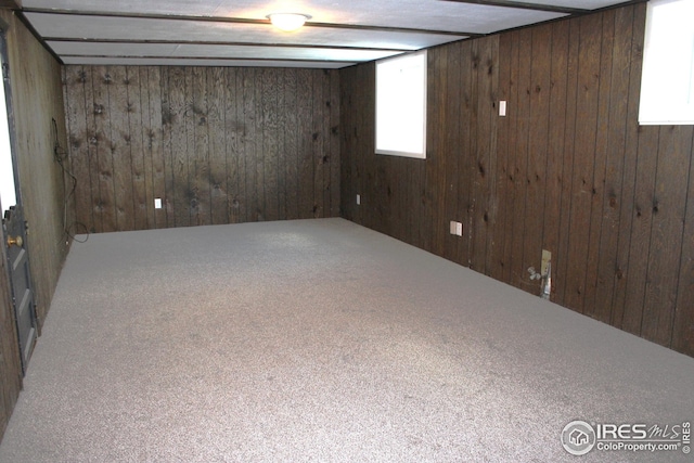 817 Warner St, Fort Morgan, CO 80701 - basement featuring carpet and wood walls