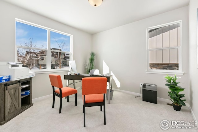 office space featuring carpet flooring and baseboards