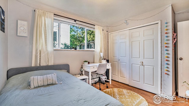 bedroom featuring wood finished floors and a closet