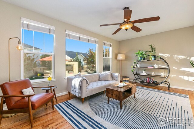 5433 Wishing Well Dr, Timnath, CO 80547 - living room with wood finished floors, baseboards, and a ceiling fan