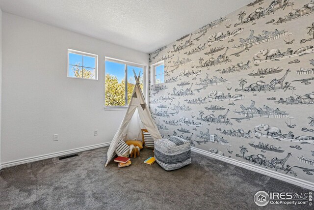 4856 10th St, Boulder, CO 80304 - playroom featuring carpet flooring, baseboards, and a textured ceiling