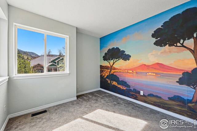 4856 10th St, Boulder, CO 80304 - spare room with carpet and baseboards
