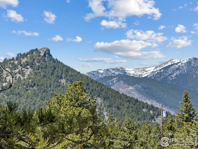 view of mountain backdrop featuring a heavily wooded area