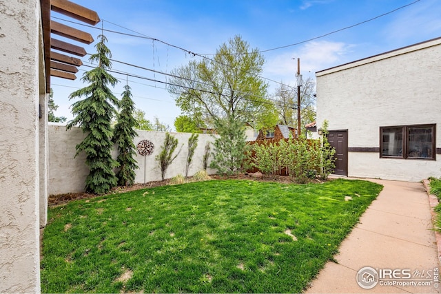 229 Albion St, Denver, CO 80220 - view of yard