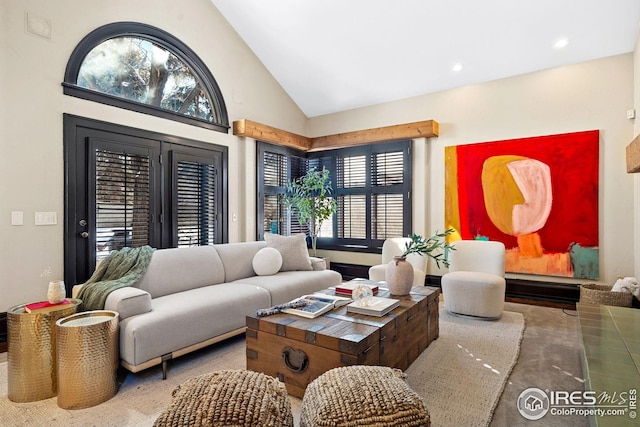 229 Albion St, Denver, CO 80220 - living area with high vaulted ceiling and recessed lighting