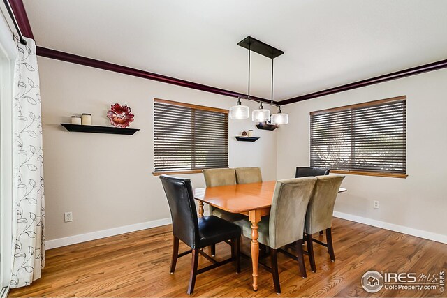 1108 Basin Ct, Windsor, CO 80550 - dining area with wood finished floors, crown molding, and baseboards