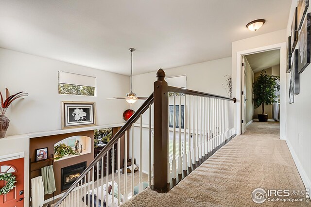 1108 Basin Ct, Windsor, CO 80550 - corridor featuring carpet floors and baseboards
