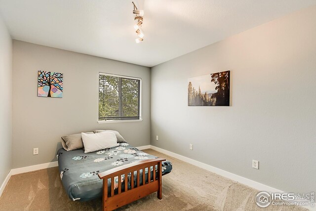 1108 Basin Ct, Windsor, CO 80550 - bedroom with baseboards, carpet flooring, and track lighting