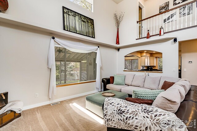 1108 Basin Ct, Windsor, CO 80550 - living room featuring carpet, baseboards, arched walkways, and a high ceiling