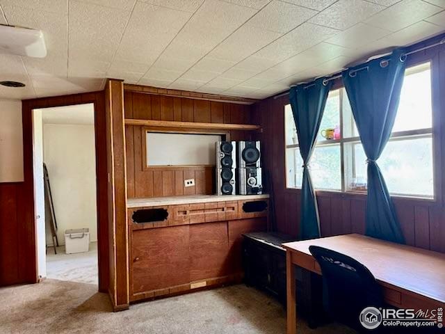 230 W Chase St, Haxtun, CO 80731 - home office featuring wood walls and light colored carpet