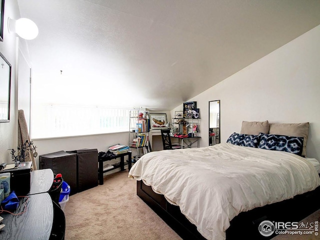 3460 Madison Ave, Boulder, CO 80303 - bedroom featuring carpet and vaulted ceiling