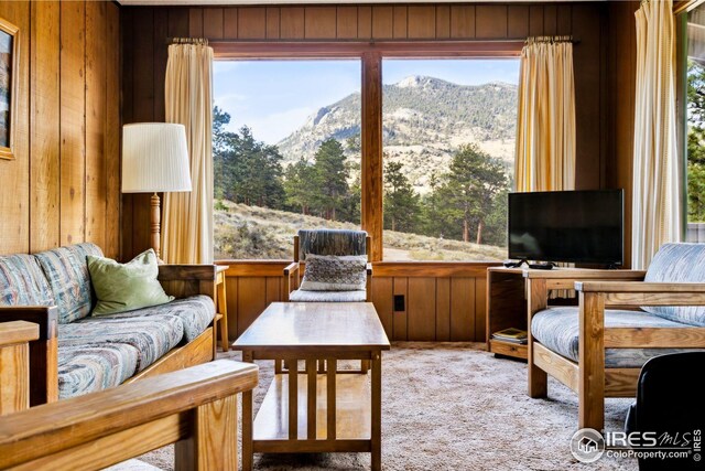 2450 Eagle Cliff Rd, Estes Park, CO 80517 - carpeted living room with wood walls and plenty of natural light