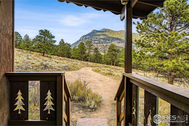 2450 Eagle Cliff Rd, Estes Park, CO 80517 - mountain view