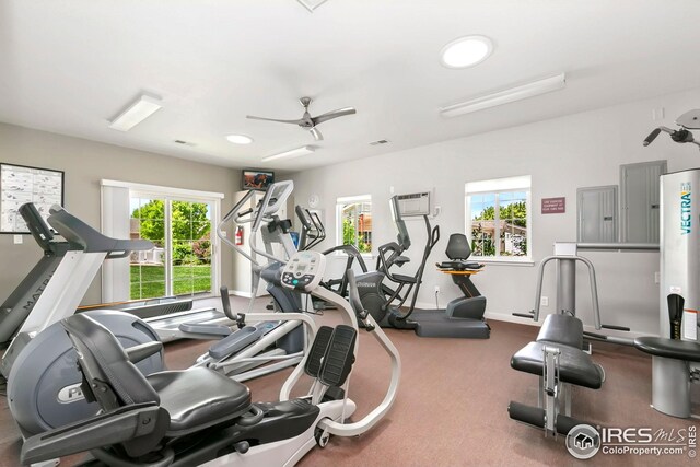 955 Sunchase Dr, Fort Collins, CO 80524 - exercise room featuring healthy amount of natural light, ceiling fan, and baseboards