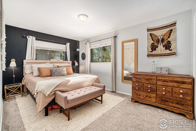1001 Strachan Dr Unit 24, Fort Collins, CO 80525 - bedroom featuring light carpet and baseboards
