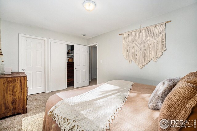 1001 Strachan Dr Unit 24, Fort Collins, CO 80525 - carpeted bedroom with a closet