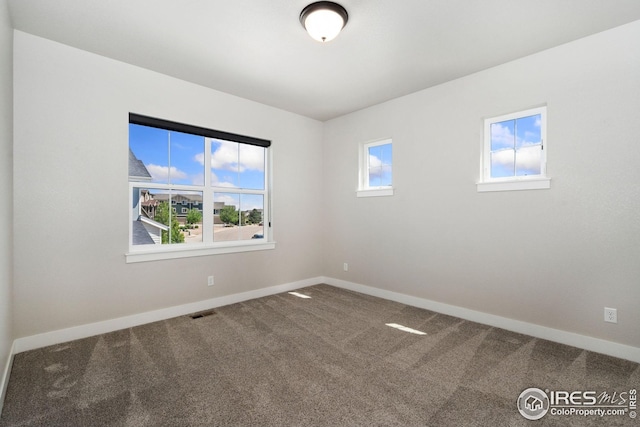 2497 Trio Falls Dr, Loveland, CO 80538 - spare room with carpet and baseboards