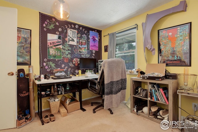 2620 Lloyd Cir, Boulder, CO 80304 - carpeted office space featuring a textured ceiling and baseboards