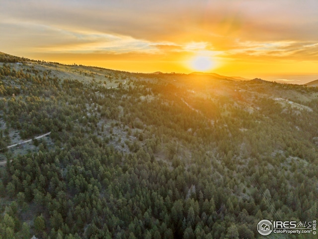 609 Old Townsite Rd, Boulder, CO 80302