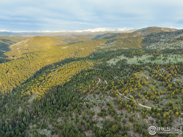 609 Old Townsite Rd, Boulder, CO 80302