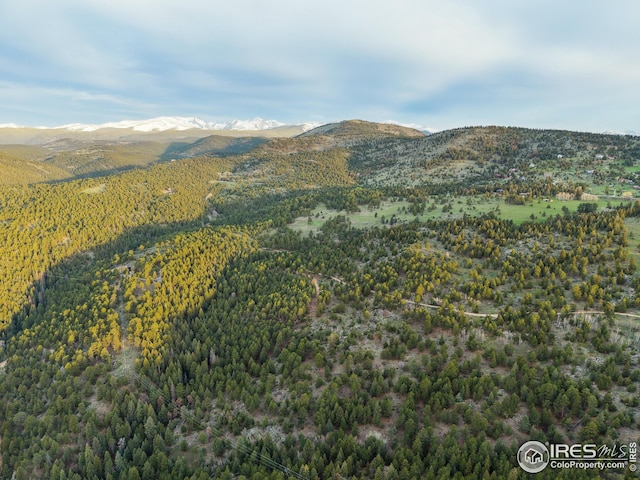 609 Old Townsite Rd, Boulder, CO 80302