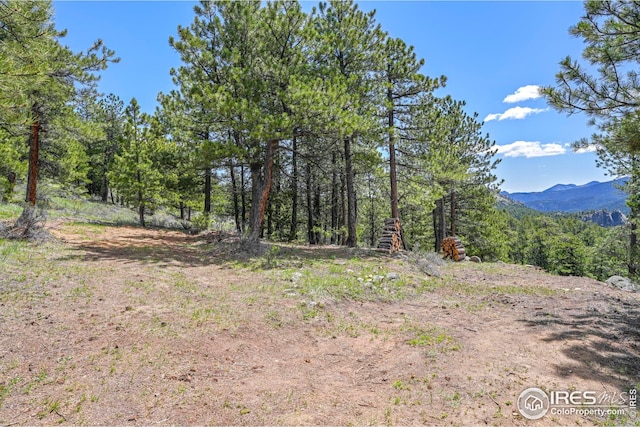 609 Old Townsite Rd, Boulder, CO 80302