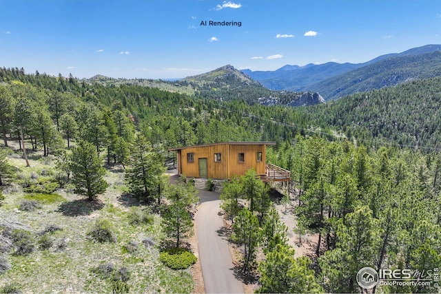 609 Old Townsite Rd, Boulder, CO 80302