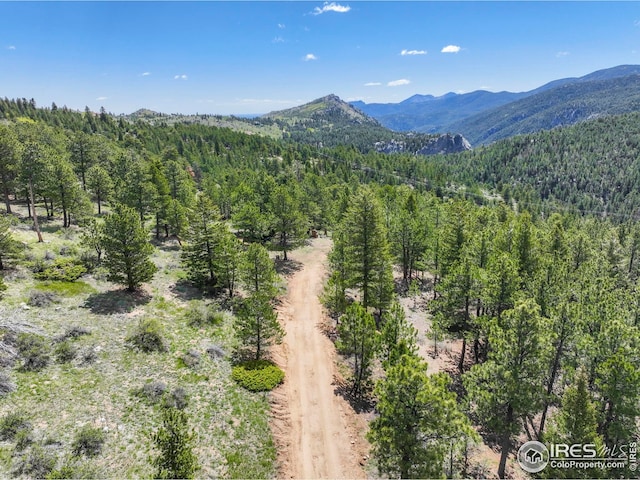 609 Old Townsite Rd, Boulder, CO 80302