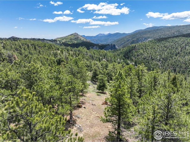 609 Old Townsite Rd, Boulder, CO 80302