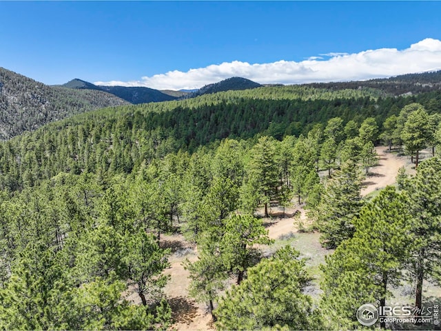 609 Old Townsite Rd, Boulder, CO 80302