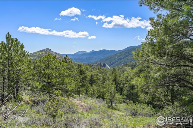 609 Old Townsite Rd, Boulder, CO 80302