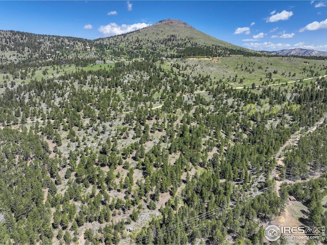 609 Old Townsite Rd, Boulder, CO 80302