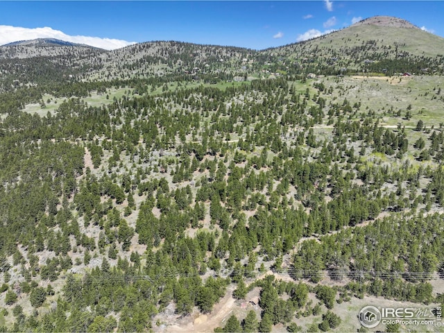 609 Old Townsite Rd, Boulder, CO 80302