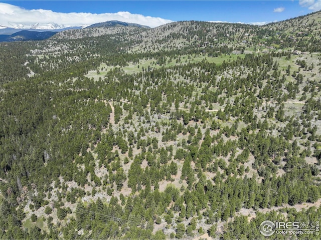 609 Old Townsite Rd, Boulder, CO 80302