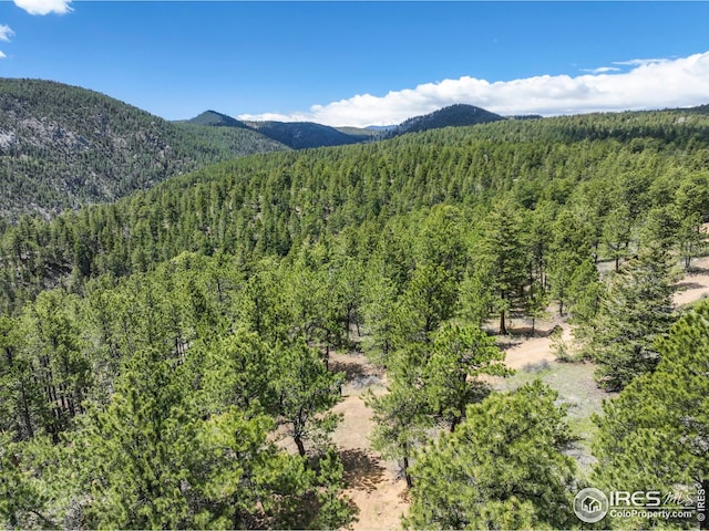 609 Old Townsite Rd, Boulder, CO 80302