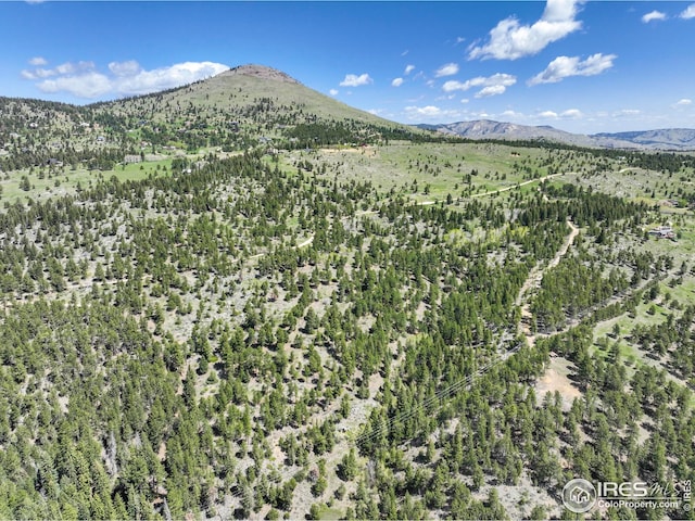 609 Old Townsite Rd, Boulder, CO 80302