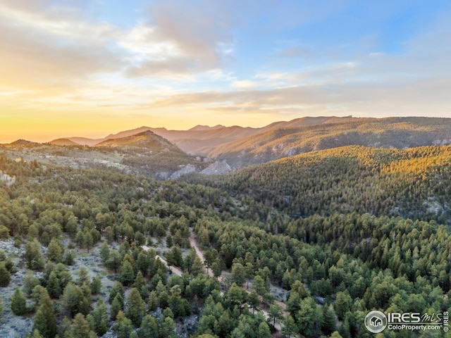 609 Old Townsite Rd, Boulder, CO 80302