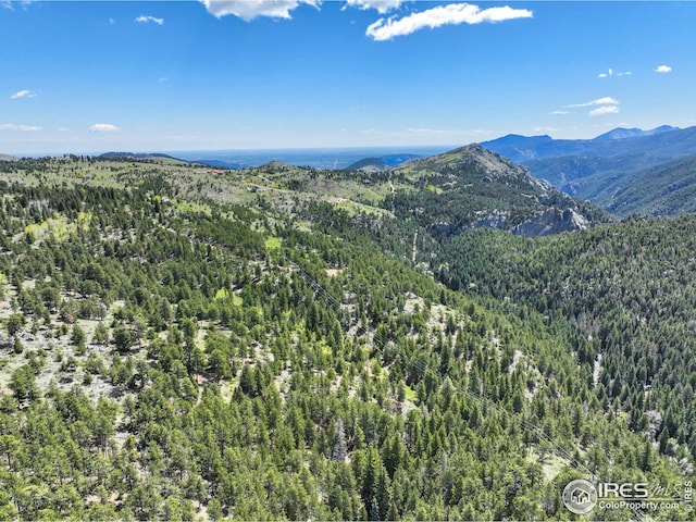 609 Old Townsite Rd, Boulder, CO 80302