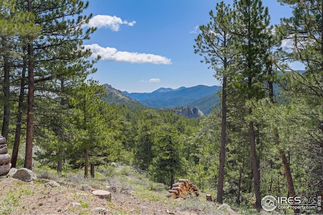 609 Old Townsite Rd, Boulder, CO 80302