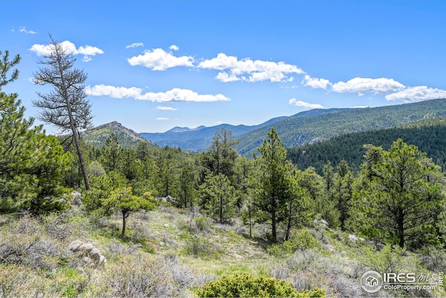 609 Old Townsite Rd, Boulder, CO 80302
