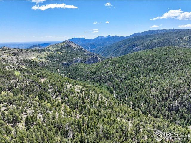 609 Old Townsite Rd, Boulder, CO 80302