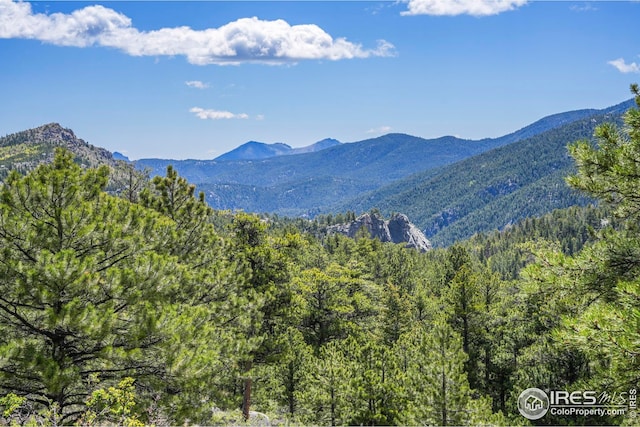 609 Old Townsite Rd, Boulder, CO 80302