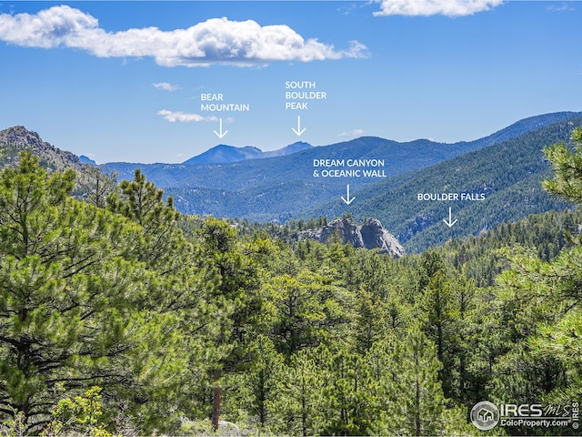 609 Old Townsite Rd, Boulder, CO 80302